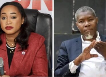 MHAVE : AUTOPSIE D’UN MINISTÈRE-FANTÔME ET DISSECTION D’UNE MINISTRE EN APNÉE