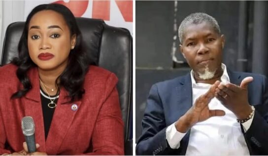 MHAVE : AUTOPSIE D’UN MINISTÈRE-FANTÔME ET DISSECTION D’UNE MINISTRE EN APNÉE