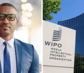 DR JOHANNY STANLEY JOSEPH : QUAND HAÏTI SE PRÉSENTE POUR DIRIGER LE MONDE DE LA PROPRIÉTÉ INTELLECTUELLE.